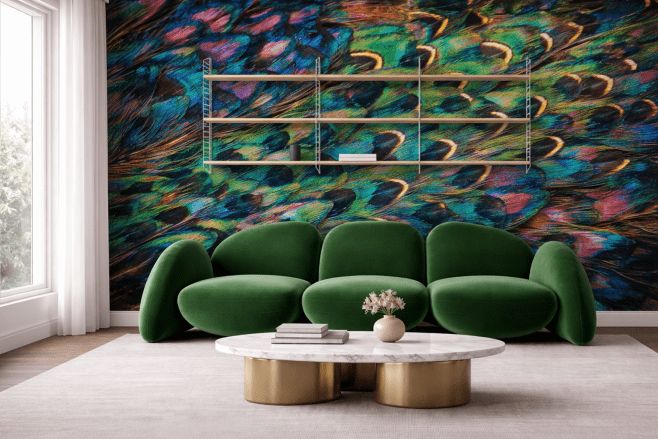 Peacock Peafowl Feather