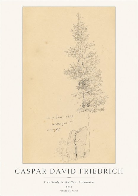 Caspar David Friedrich Tree Study in the Harz Mountains No1 - Plakát