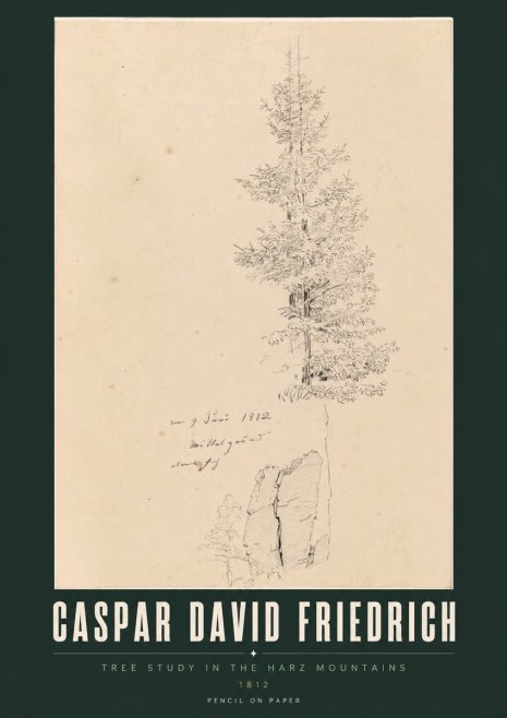 Caspar David Friedrich Tree Study in the Harz Mountains No2 - Plakát