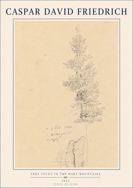 Caspar David Friedrich Tree Study in the Harz Mountains No4 - Plakát