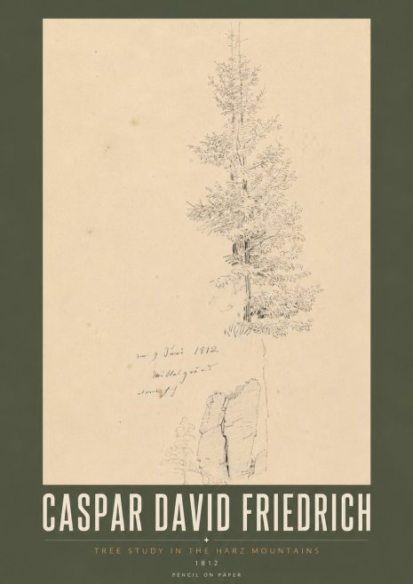 Caspar David Friedrich Tree Study in the Harz Mountains No5 - Plakát