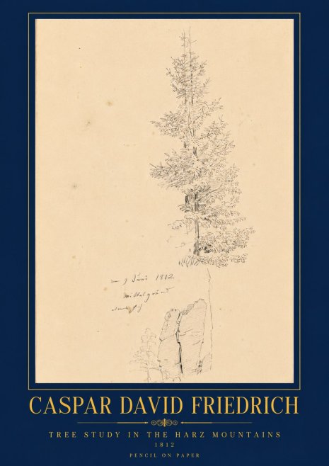 Caspar David Friedrich Tree Study in the Harz Mountains No6 - Plakát