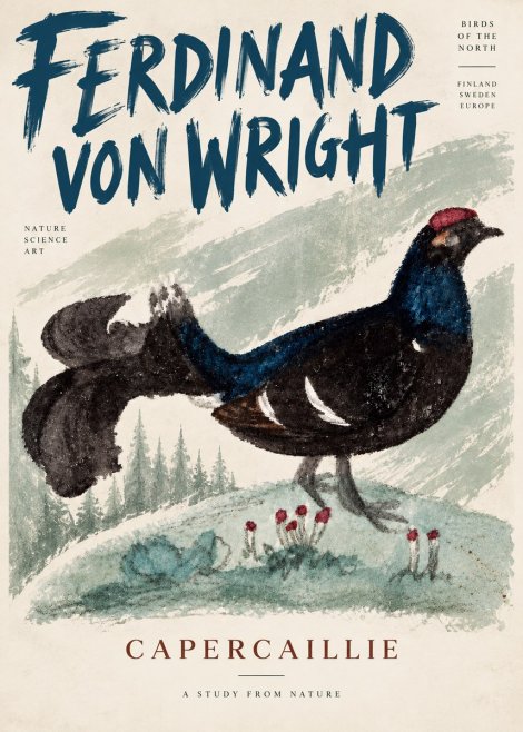 Ferdinand von Wright Western Capercaillie - Watercolor Study No5 - Plakát