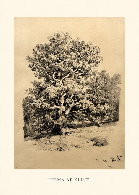 Hilma af Klint Large Tree Landscape No1 - Plakát