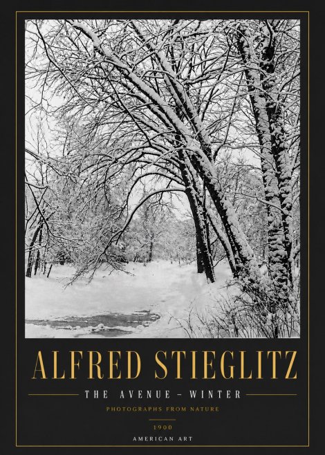 Alfred Stieglitz The Avenue – Winter No6 - Plakát