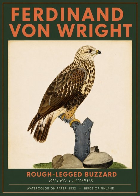 Ferdinand von Wright Rough-legged Buzzard No2 - Plakát