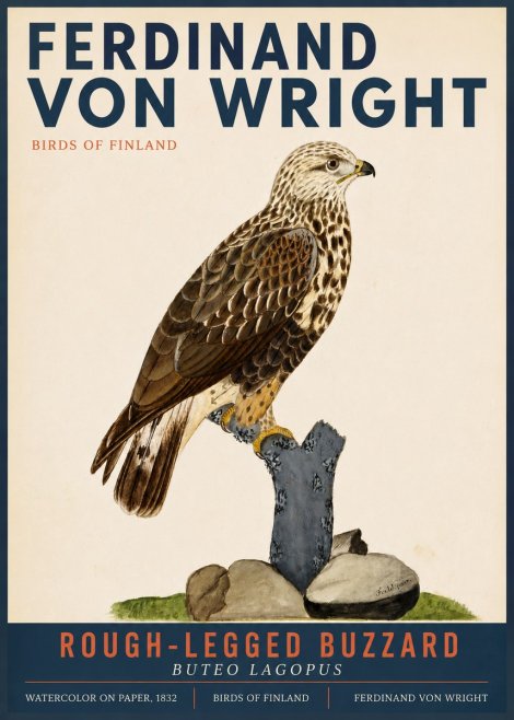 Ferdinand von Wright Rough-legged Buzzard No3 - Plakát