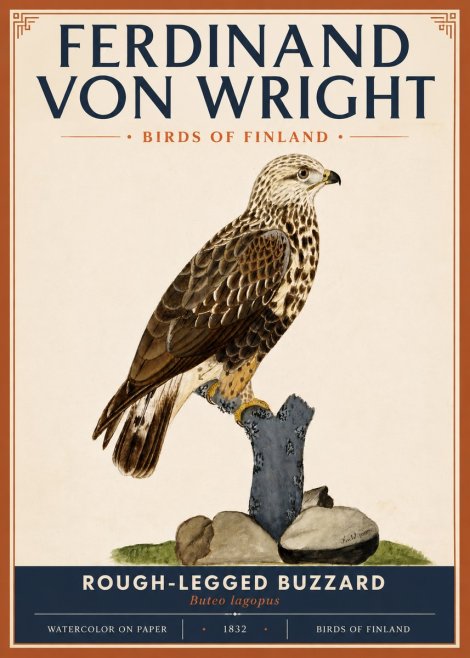 Ferdinand von Wright Rough-legged Buzzard No5 - Plakát