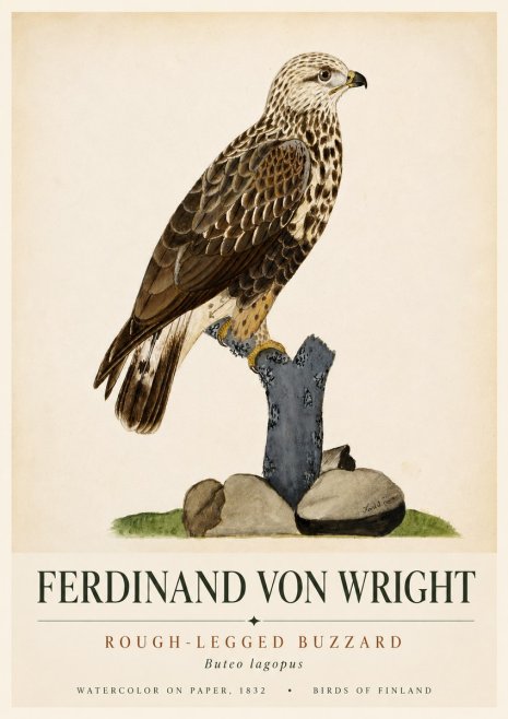 Ferdinand von Wright Rough-legged Buzzard No6 - Plakát