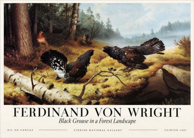 Ferdinand von Wright Black Grouse in a Forest Landscape No3 - Plakát