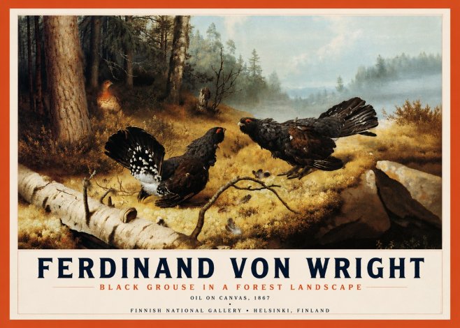 Ferdinand von Wright Black Grouse in a Forest Landscape No4 - Plakát