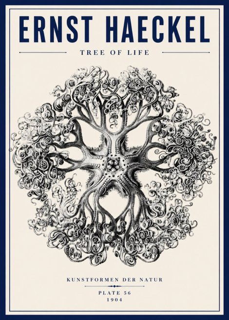 Ernst Haeckel Tree-like Organism No6 - Plakát
