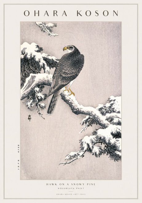 Ohara Koson Hawk on a Snowy Pine No1 - Plakát