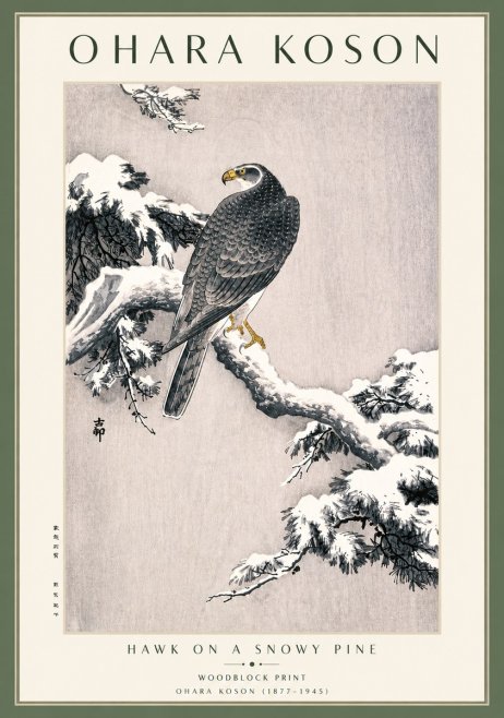 Ohara Koson Hawk on a Snowy Pine No3 - Plakát