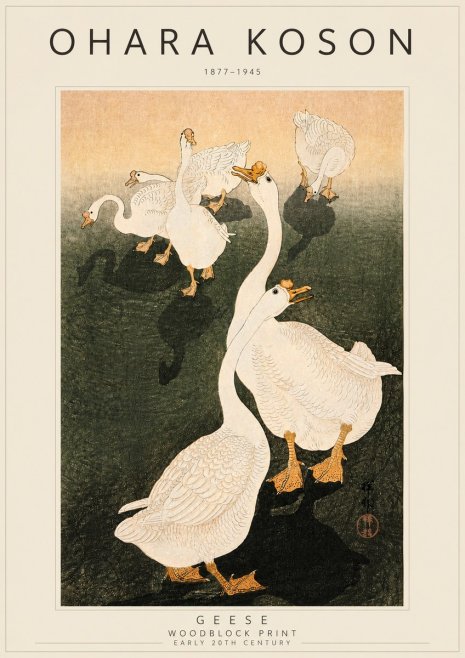 Ohara Koson Geese No4 - Plakát