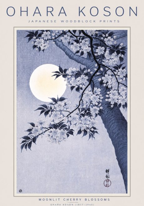 Ohara Koson Moonlit Cherry Blossoms No3 - Plakát