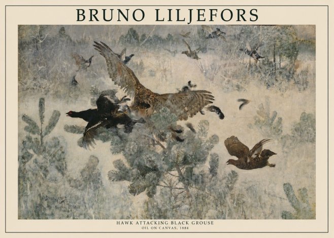 Bruno Liljefors Hawk Attacking Black Grouse No1 - Plakát