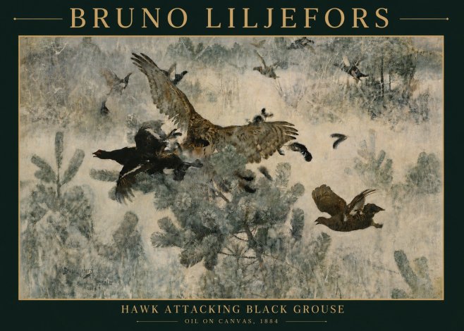 Bruno Liljefors Hawk Attacking Black Grouse No4 - Plakát