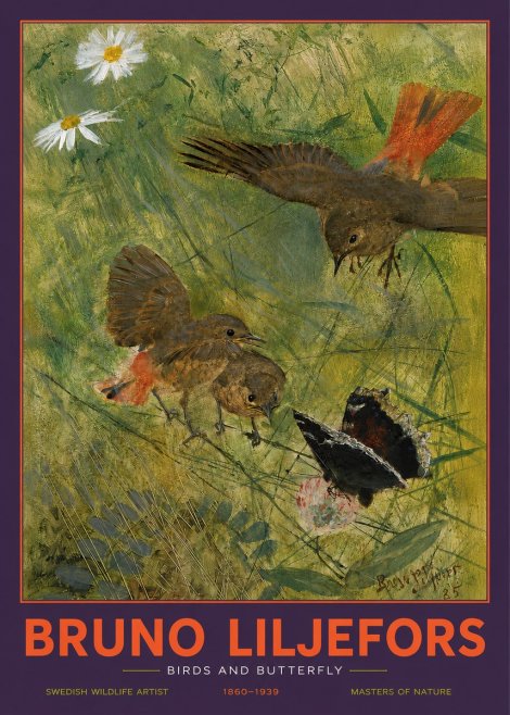 Bruno Liljefors Birds and Butterfly No2 - Plakát