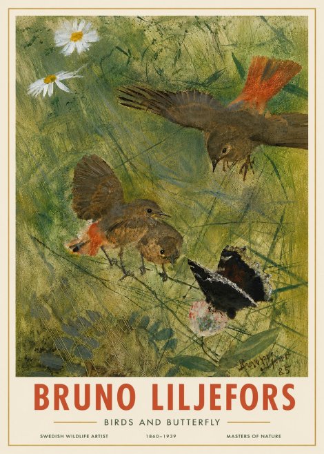 Bruno Liljefors Birds and Butterfly No4 - Plakát