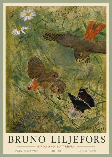 Bruno Liljefors Birds and Butterfly No5 - Plakát