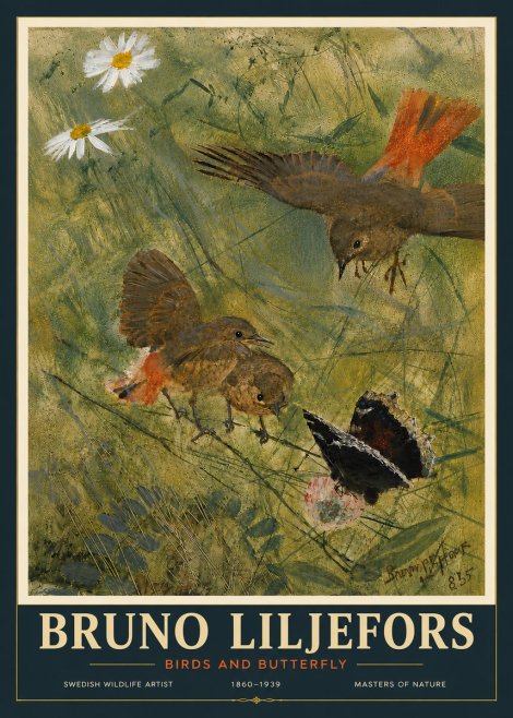 Bruno Liljefors Birds and Butterfly No6 - Plakát