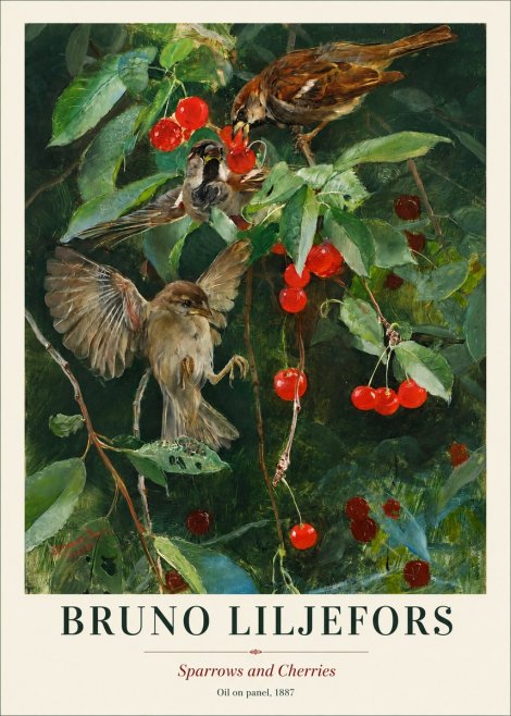 Bruno Liljefors Sparrows and Cherries No1 - Plakát
