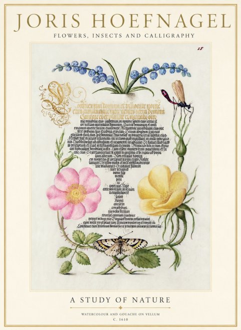 Joris Hoefnagel A Study of Nature I No1 - Plakát