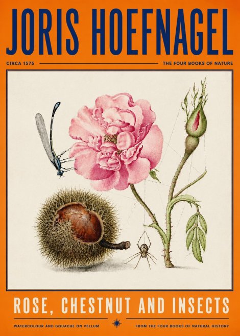 Joris Hoefnagel Rose, Chestnut and Insects No4 - Plakát