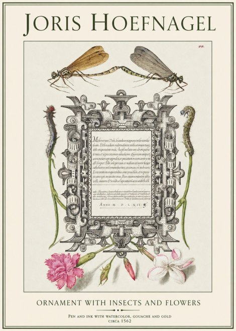 Joris Hoefnagel Ornamental Frame with Damselflies, Caterpillars and Flowers No2 - Plakát