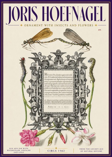 Joris Hoefnagel Ornamental Frame with Damselflies, Caterpillars and Flowers No6 - Plakát