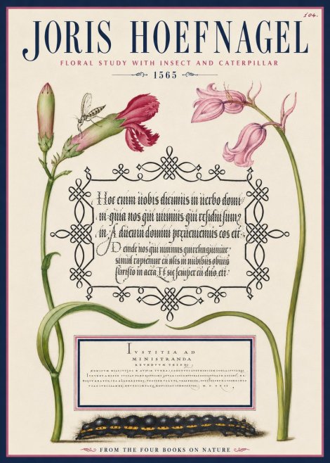 Joris Hoefnagel Floral Study with Insect and Caterpillar No4 - Plakát