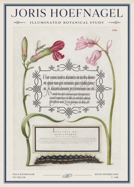 Joris Hoefnagel Floral Study with Insect and Caterpillar No5 - Plakát