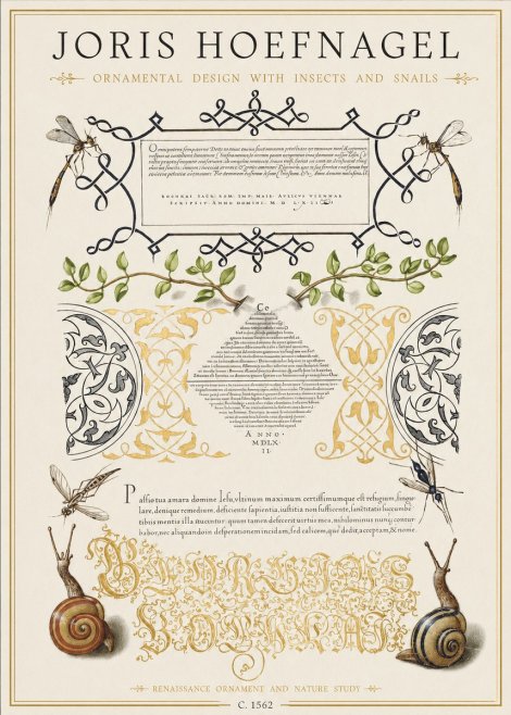 Joris Hoefnagel Memento Mori No2 - Plakát