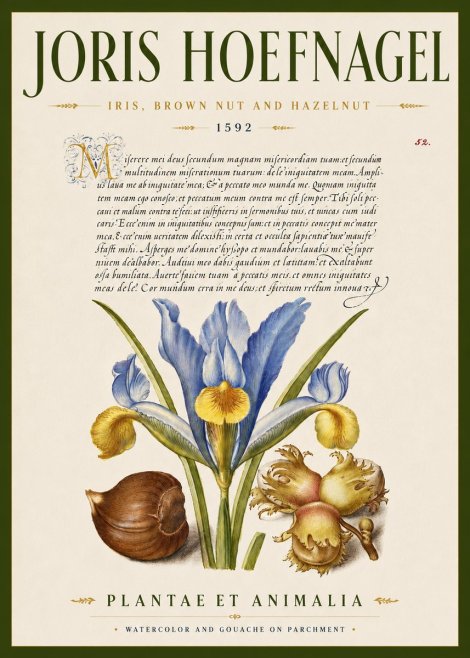 Joris Hoefnagel Iris, Brown Nut and Hazelnut No5 - Plakát
