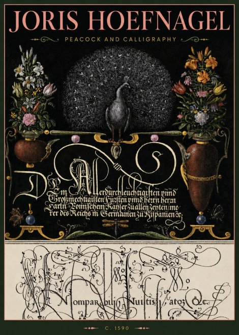 Joris Hoefnagel Peacock and Calligraphy No4 - Plakát