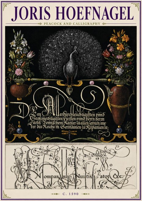 Joris Hoefnagel Peacock and Calligraphy No6 - Plakát