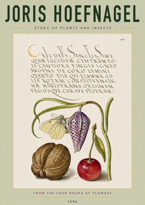 Joris Hoefnagel Study of Plants and Insects No4 - Plakát