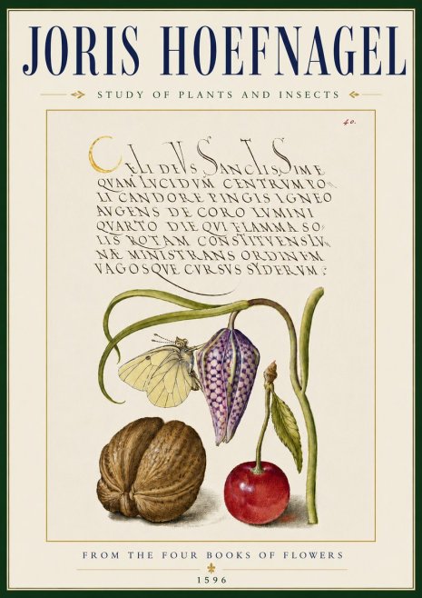 Joris Hoefnagel Study of Plants and Insects No5 - Plakát