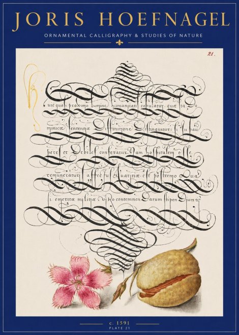 Joris Hoefnagel Ornamental Calligraphy & Studies of Nature No2 - Plakát