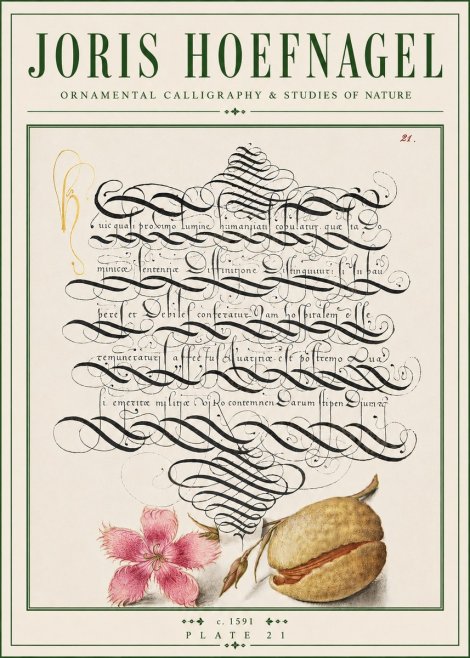Joris Hoefnagel Ornamental Calligraphy & Studies of Nature No4 - Plakát