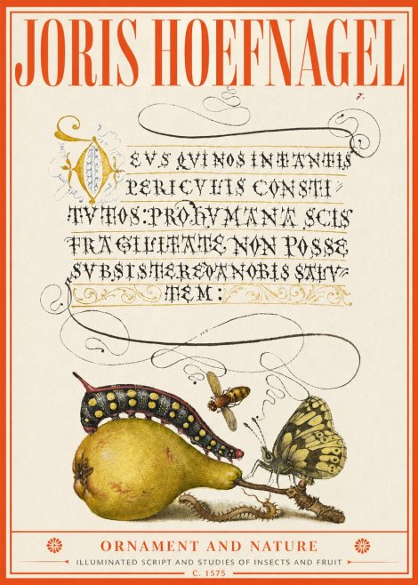 Joris Hoefnagel Ornament and Nature - Illuminated Script and Studies of Insects and Fruit No2 - Plakát