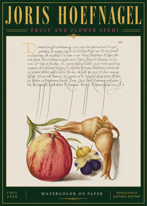 Joris Hoefnagel Fruit and Flower Study No4 - Plakát
