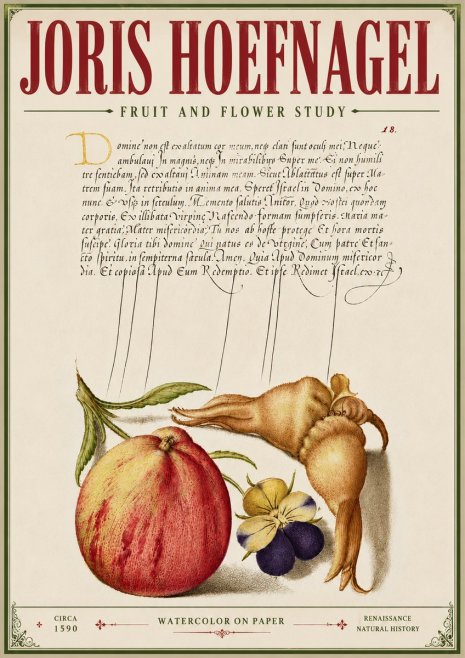 Joris Hoefnagel Fruit and Flower Study No6 - Plakát