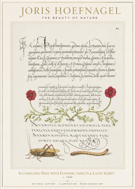 Joris Hoefnagel Illuminated Page with Flowers, Insects & Latin Script No1 - Plakát