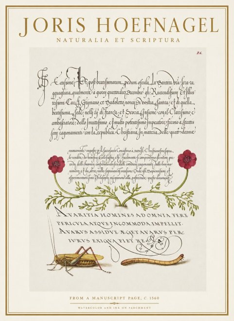 Joris Hoefnagel Illuminated Page with Flowers, Insects & Latin Script No2 - Plakát