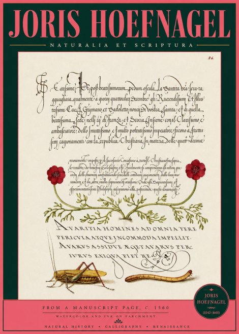Joris Hoefnagel Illuminated Page with Flowers, Insects & Latin Script No3 - Plakát