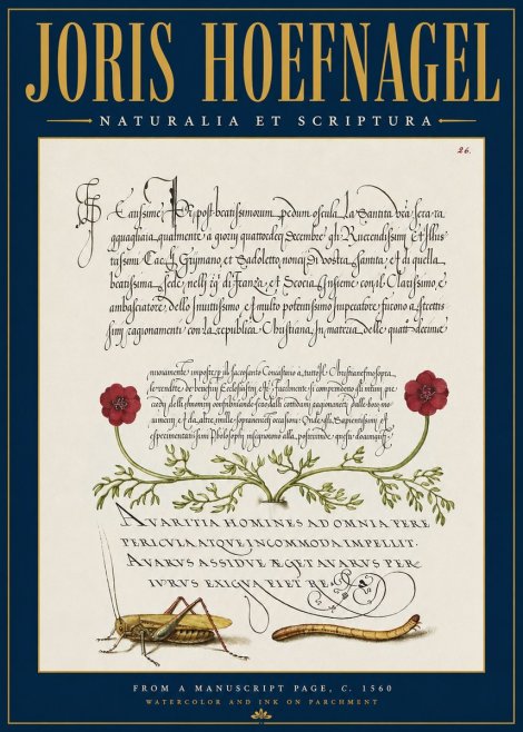 Joris Hoefnagel Illuminated Page with Flowers, Insects & Latin Script No4 - Plakát