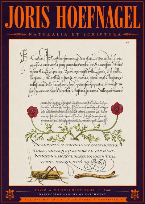 Joris Hoefnagel Illuminated Page with Flowers, Insects & Latin Script No6 - Plakát