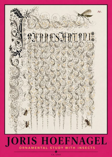 Joris Hoefnagel Ornamental Study with Insects No2 - Plakát